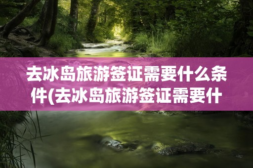 去冰岛旅游签证需要什么条件(去冰岛旅游签证需要什么条件才能办)