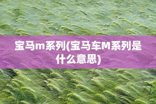 宝马m系列(宝马车M系列是什么意思)