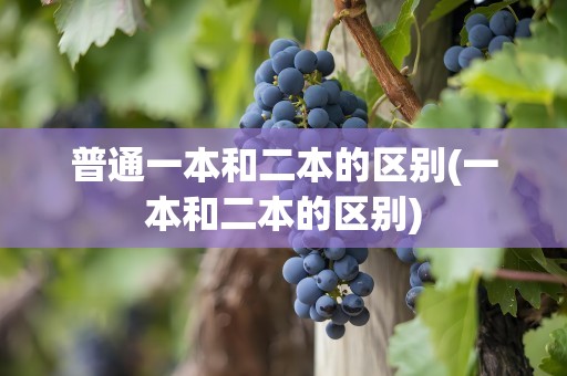 普通一本和二本的区别(一本和二本的区别)