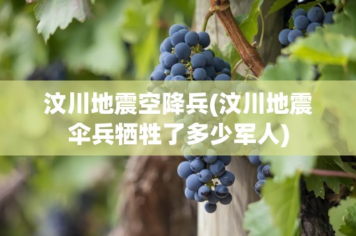 汶川地震空降兵(汶川地震伞兵牺牲了多少军人)