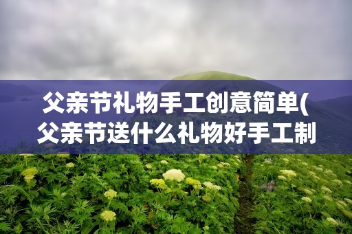 父亲节礼物手工创意简单(父亲节送什么礼物好手工制作大全)
