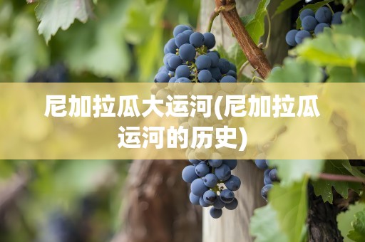 尼加拉瓜大运河(尼加拉瓜运河的历史)