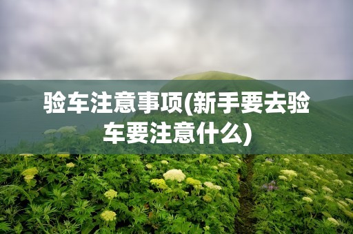 验车注意事项(新手要去验车要注意什么)