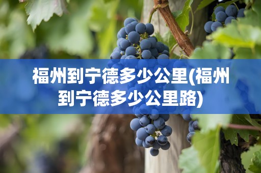 福州到宁德多少公里(福州到宁德多少公里路)