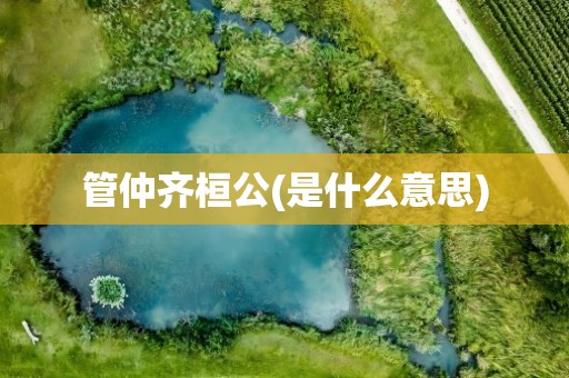 管仲齐桓公(是什么意思)