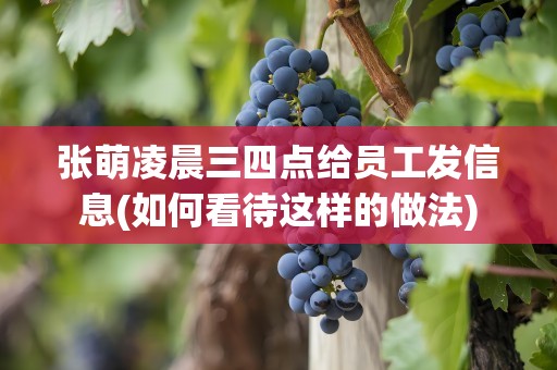 张萌凌晨三四点给员工发信息(如何看待这样的做法)