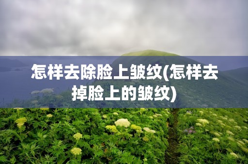 怎样去除脸上皱纹(怎样去掉脸上的皱纹)
