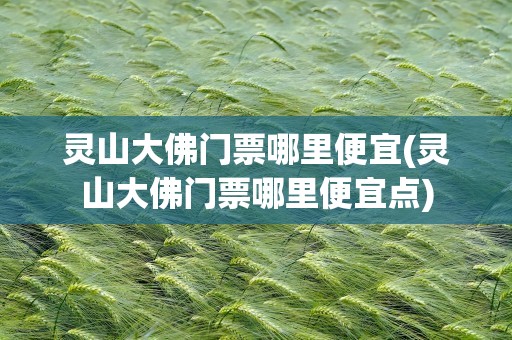 灵山大佛门票哪里便宜(灵山大佛门票哪里便宜点)