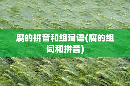 腐的拼音和组词语(腐的组词和拼音)