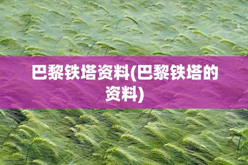 巴黎铁塔资料(巴黎铁塔的资料)