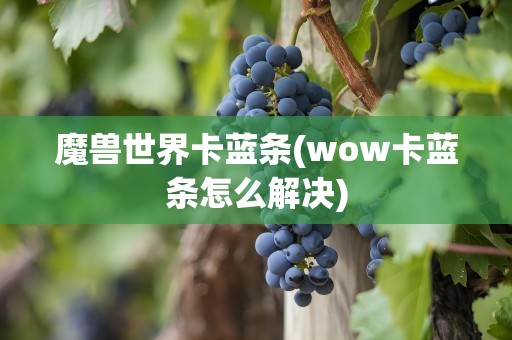 魔兽世界卡蓝条(wow卡蓝条怎么解决)