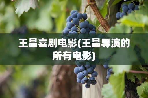 王晶喜剧电影(王晶导演的所有电影)