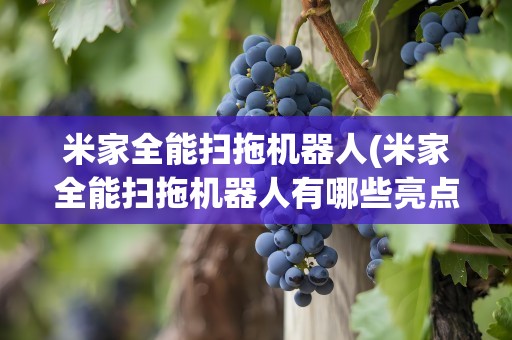 米家全能扫拖机器人(米家全能扫拖机器人有哪些亮点值得购买吗)