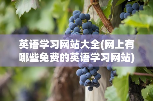英语学习网站大全(网上有哪些免费的英语学习网站)