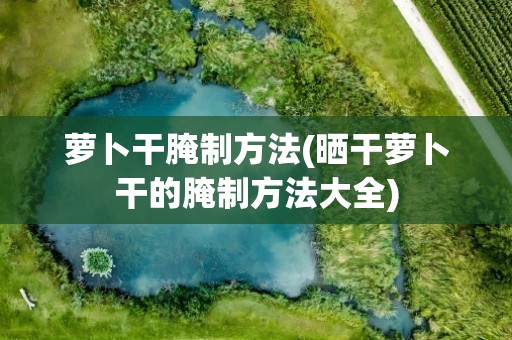 萝卜干腌制方法(晒干萝卜干的腌制方法大全)