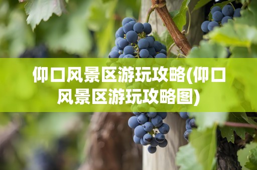仰口风景区游玩攻略(仰口风景区游玩攻略图)