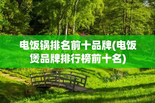 电饭锅排名前十品牌(电饭煲品牌排行榜前十名)