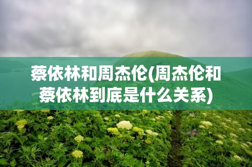 蔡依林和周杰伦(周杰伦和蔡依林到底是什么关系)