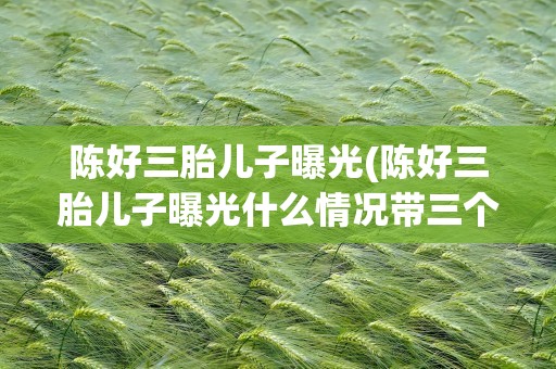 陈好三胎儿子曝光(陈好三胎儿子曝光什么情况带三个孩子外出聚餐画面温馨)