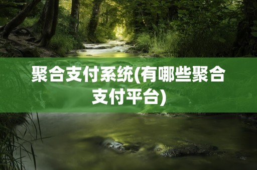 聚合支付系统(有哪些聚合支付平台)