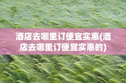 酒店去哪里订便宜实惠(酒店去哪里订便宜实惠的)