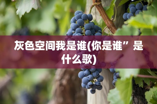 灰色空间我是谁(你是谁”是什么歌)