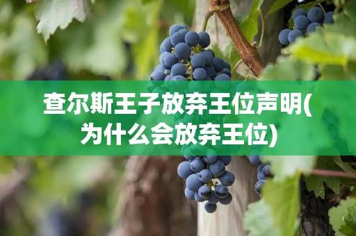 查尔斯王子放弃王位声明(为什么会放弃王位)