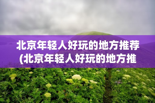 北京年轻人好玩的地方推荐(北京年轻人好玩的地方推荐一下)