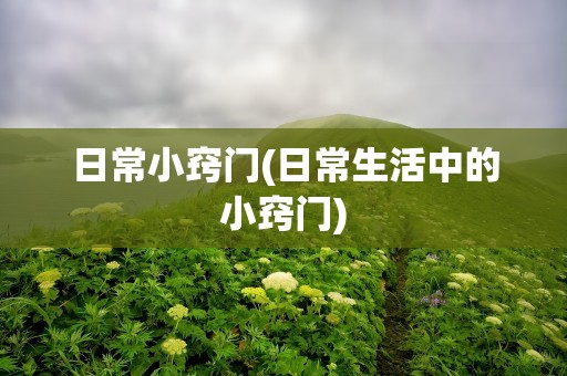 日常小窍门(日常生活中的小窍门)