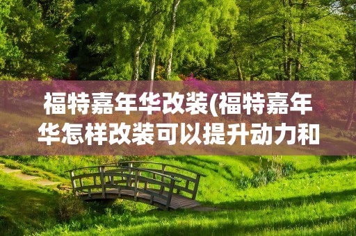 福特嘉年华改装(福特嘉年华怎样改装可以提升动力和抓地力)