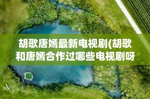 胡歌唐嫣最新电视剧(胡歌和唐嫣合作过哪些电视剧呀)