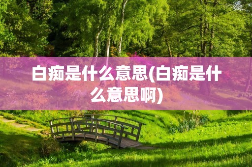 白痴是什么意思(白痴是什么意思啊)