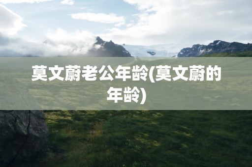 莫文蔚老公年龄(莫文蔚的年龄)