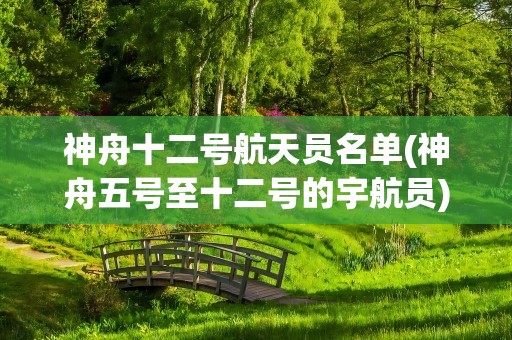 神舟十二号航天员名单(神舟五号至十二号的宇航员)