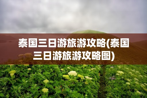 泰国三日游旅游攻略(泰国三日游旅游攻略图)