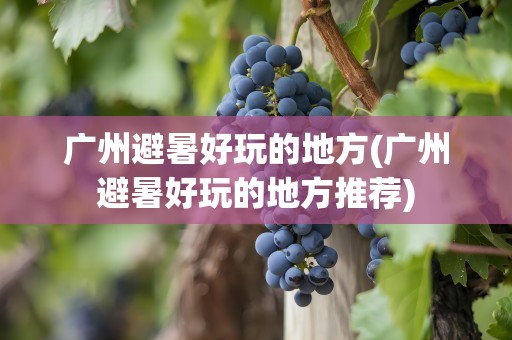 广州避暑好玩的地方(广州避暑好玩的地方推荐)