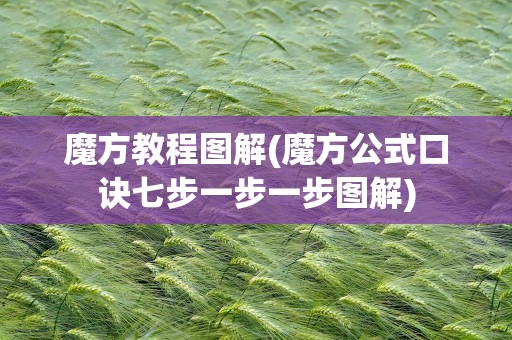 魔方教程图解(魔方公式口诀七步一步一步图解)