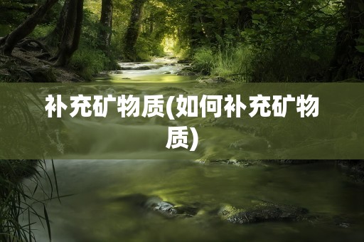 补充矿物质(如何补充矿物质)