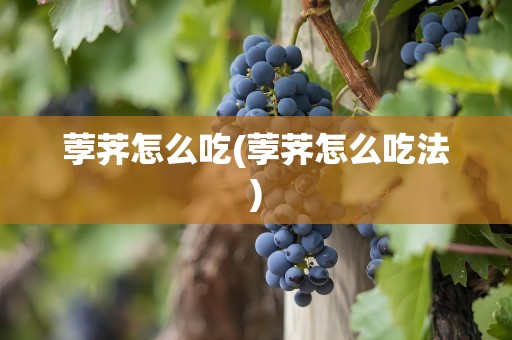 荸荠怎么吃(荸荠怎么吃法)
