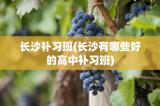 长沙补习班(长沙有哪些好的高中补习班)