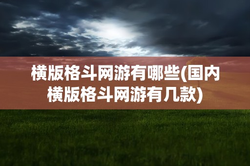 横版格斗网游有哪些(国内横版格斗网游有几款)