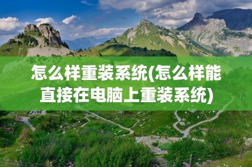 怎么样重装系统(怎么样能直接在电脑上重装系统)