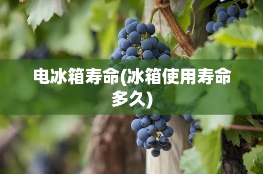 电冰箱寿命(冰箱使用寿命多久)