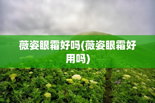 薇姿眼霜好吗(薇姿眼霜好用吗)