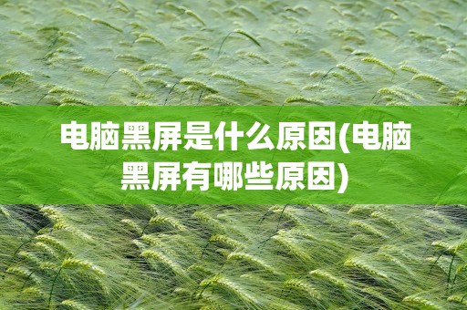 电脑黑屏是什么原因(电脑黑屏有哪些原因)