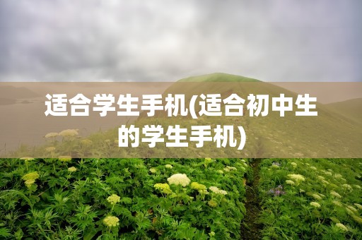 适合学生手机(适合初中生的学生手机)