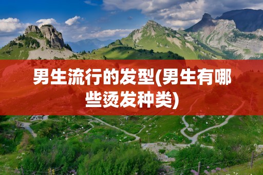 男生流行的发型(男生有哪些烫发种类)