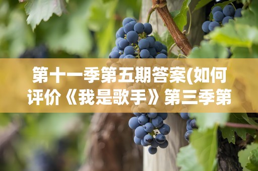 第十一季第五期答案(如何评价《我是歌手》第三季第五期各位歌手的表现)