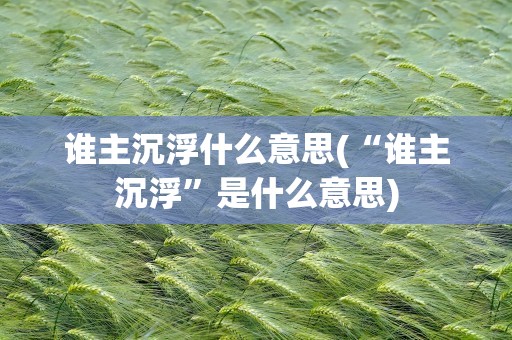 谁主沉浮什么意思(“谁主沉浮”是什么意思)
