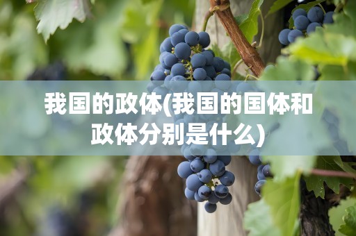 我国的政体(我国的国体和政体分别是什么)
